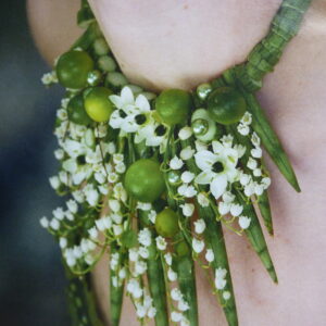 Bijou végétal mystérieux